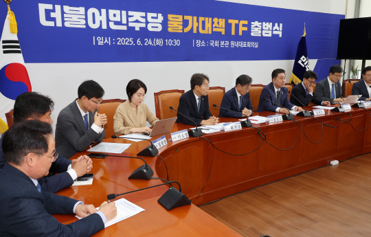 김병기(오른쪽 네번째) 더불어민주당 대표 직무대행 겸 원내대표가 24일 국회에서 열린 물가대책TF 출범식에서 발언하고 있다. 연합뉴스